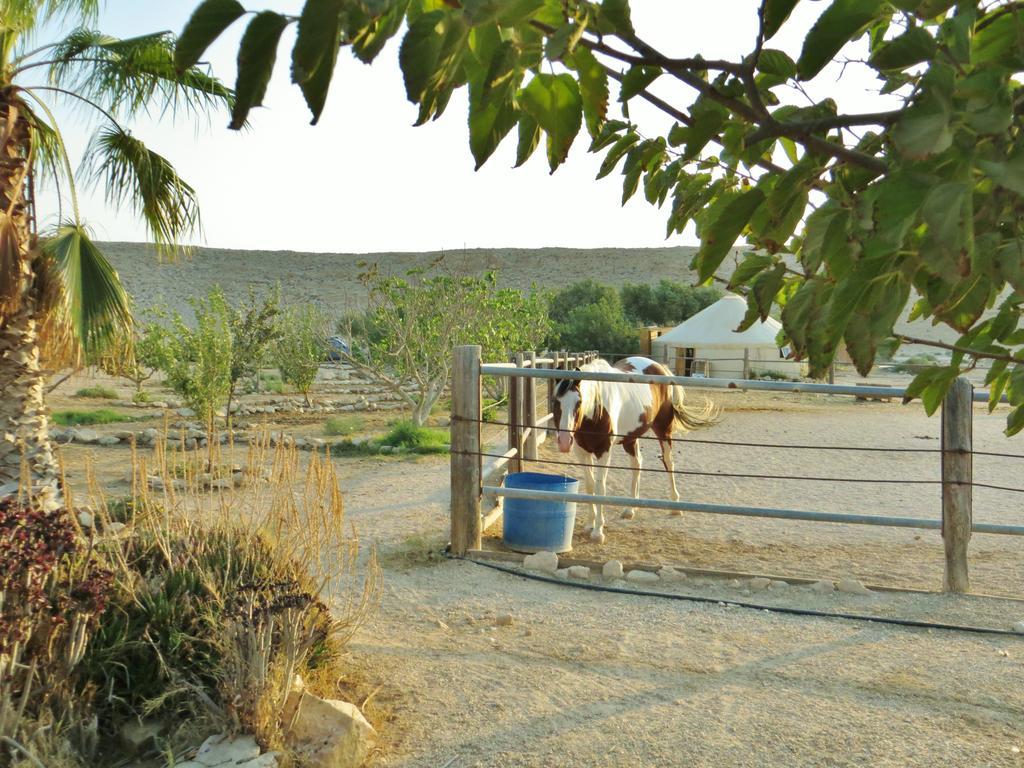 Succah In The Desert Mitzpe Ramon Buitenkant foto