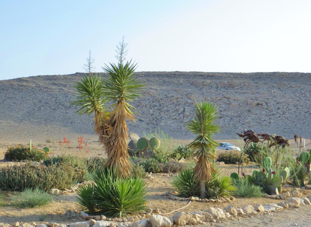 Succah In The Desert Mitzpe Ramon Buitenkant foto