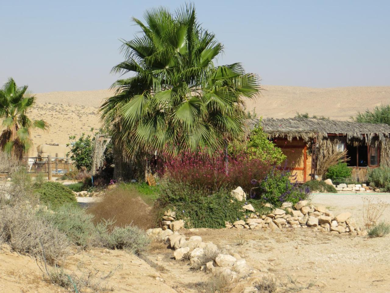 Succah In The Desert Mitzpe Ramon Buitenkant foto